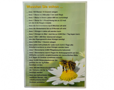 Lehrtafel "Wussten Sie schon..."